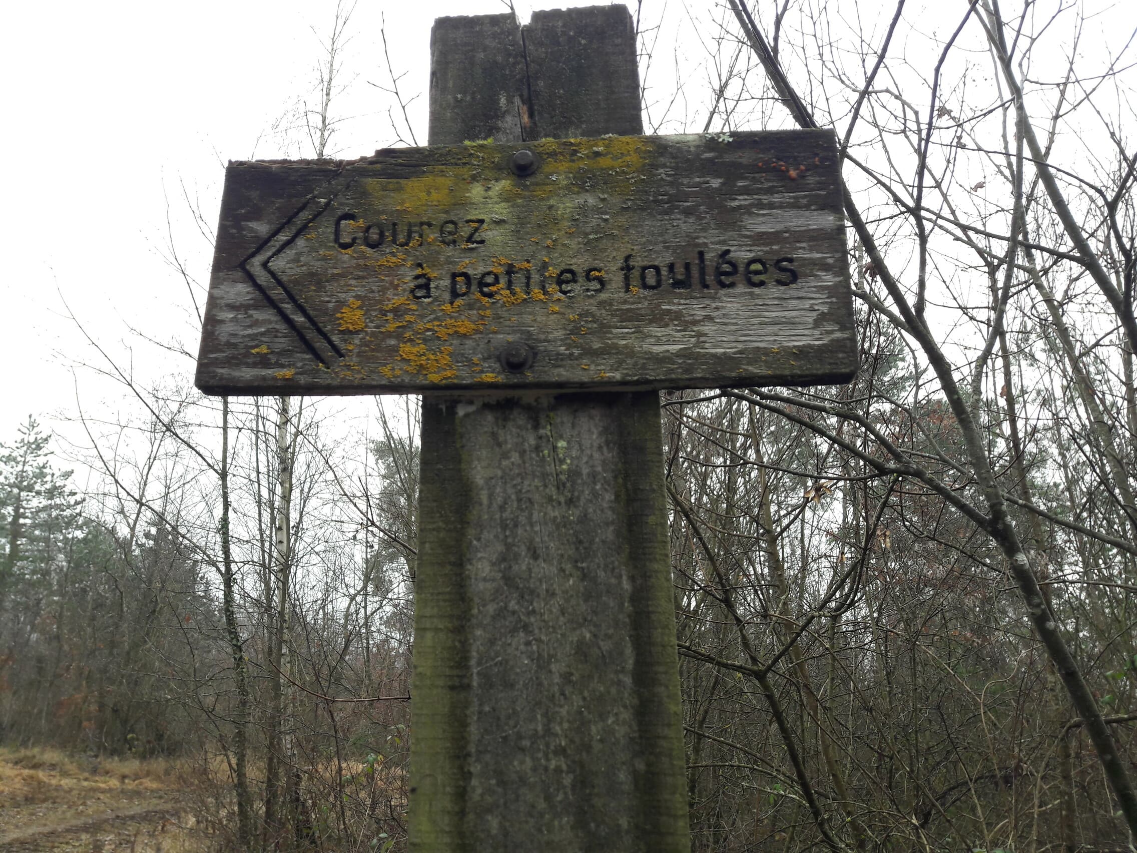 Fitness Station – Piste les Rapailles