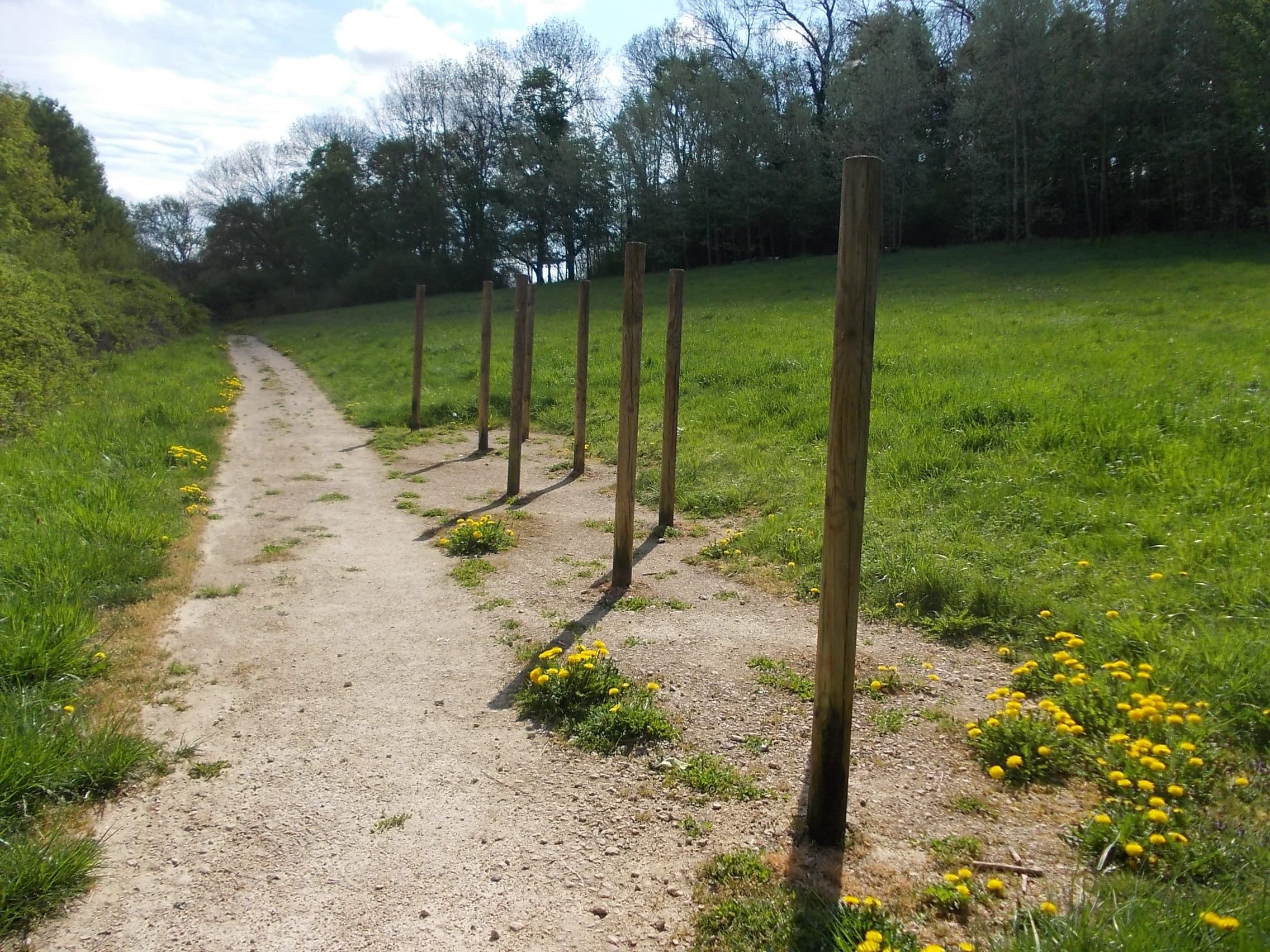 Fitness Station – Slalom