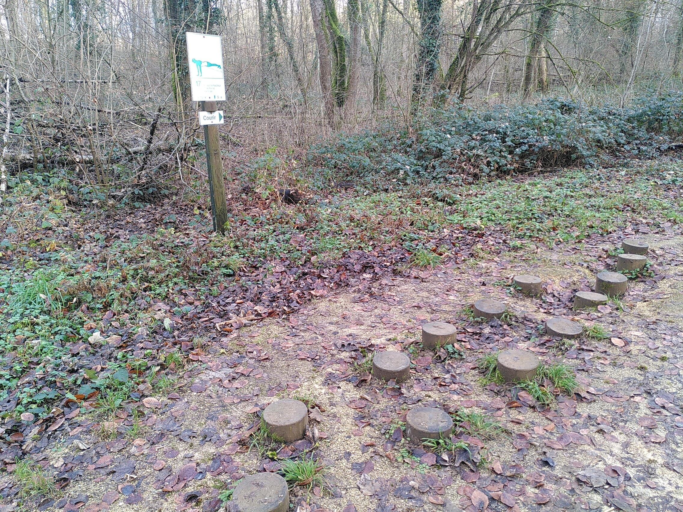 Fitness Station – 17