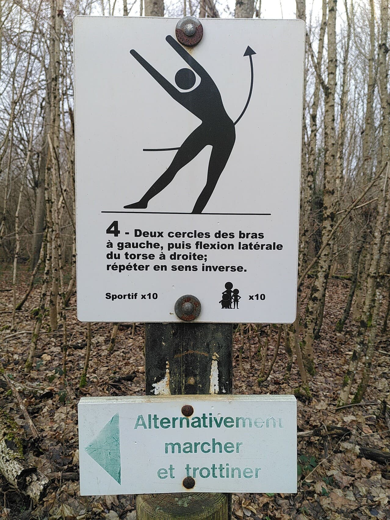 Fitness Station – 4