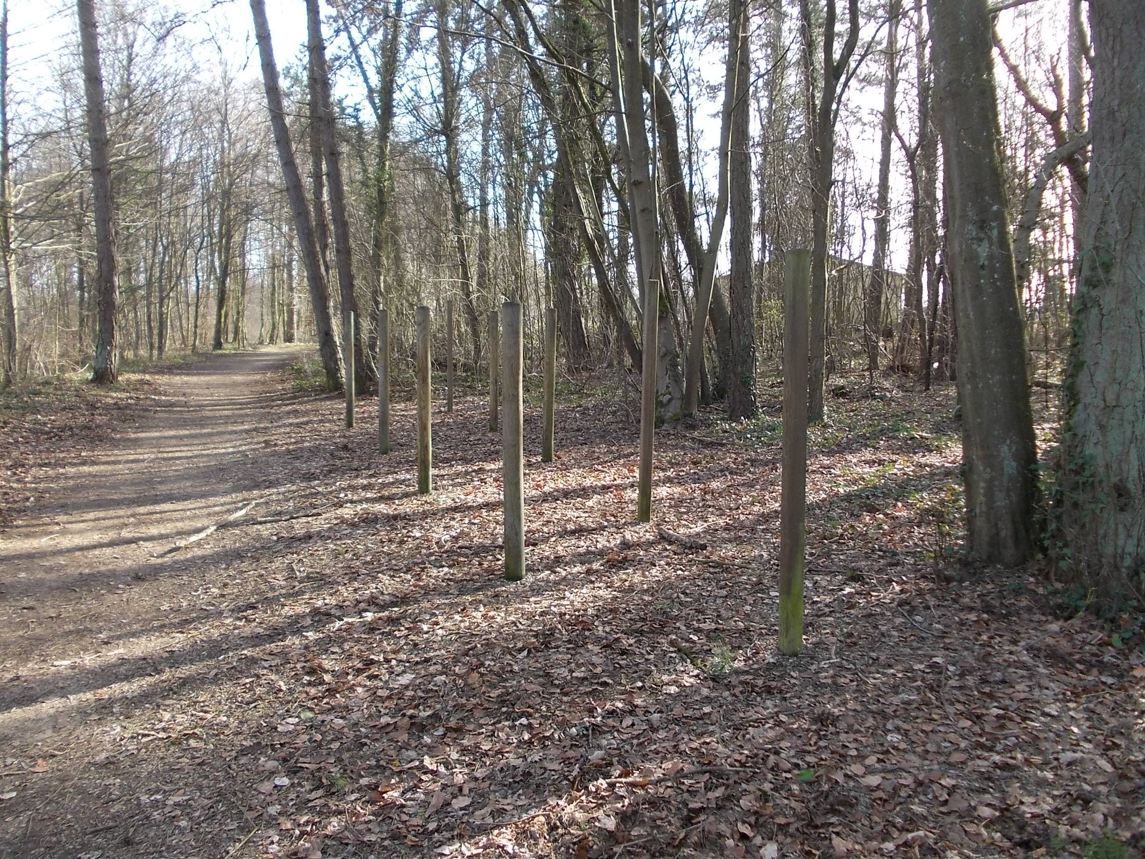 Fitness Station – Slalom