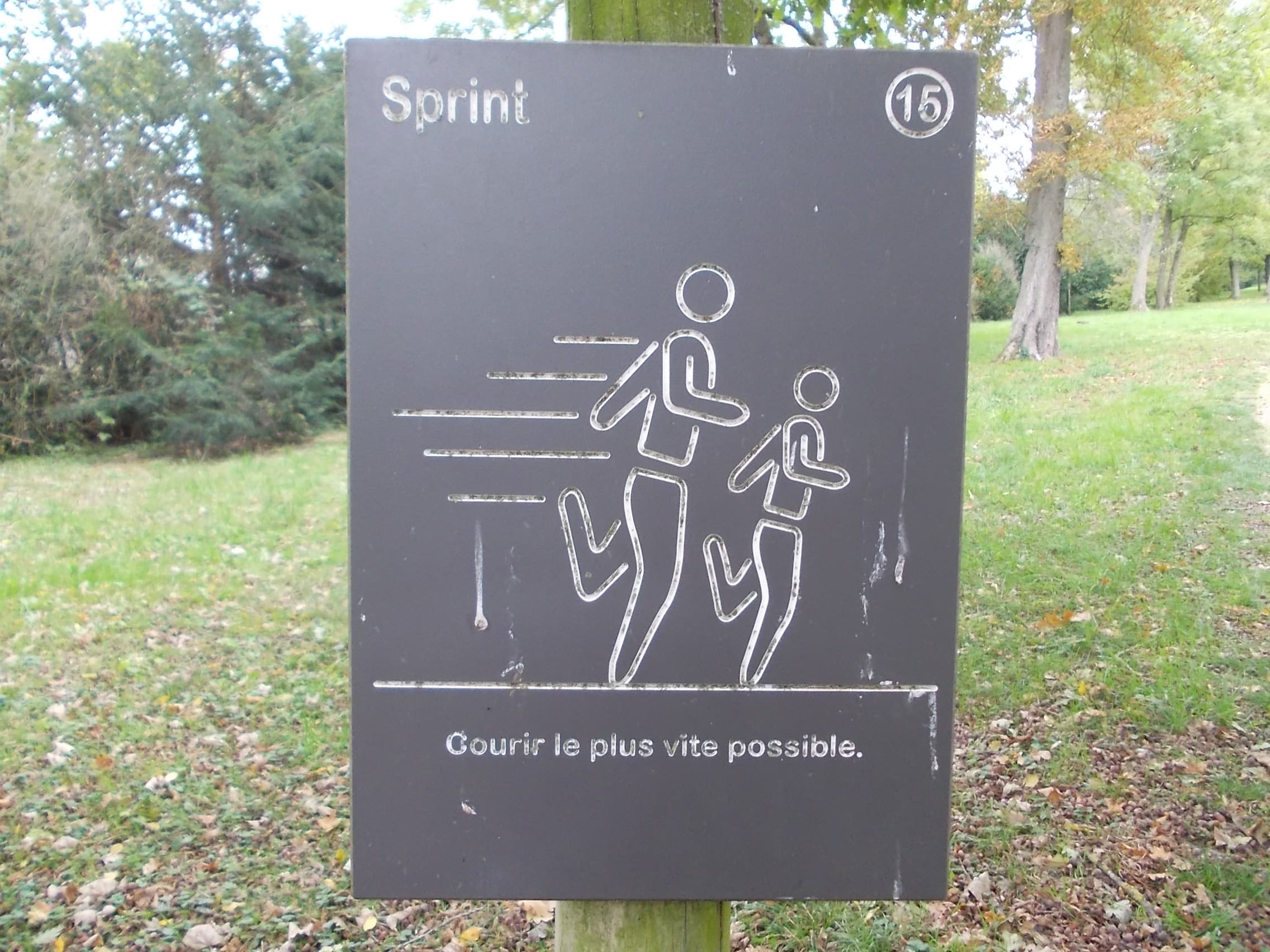 Fitness Station – Sprint