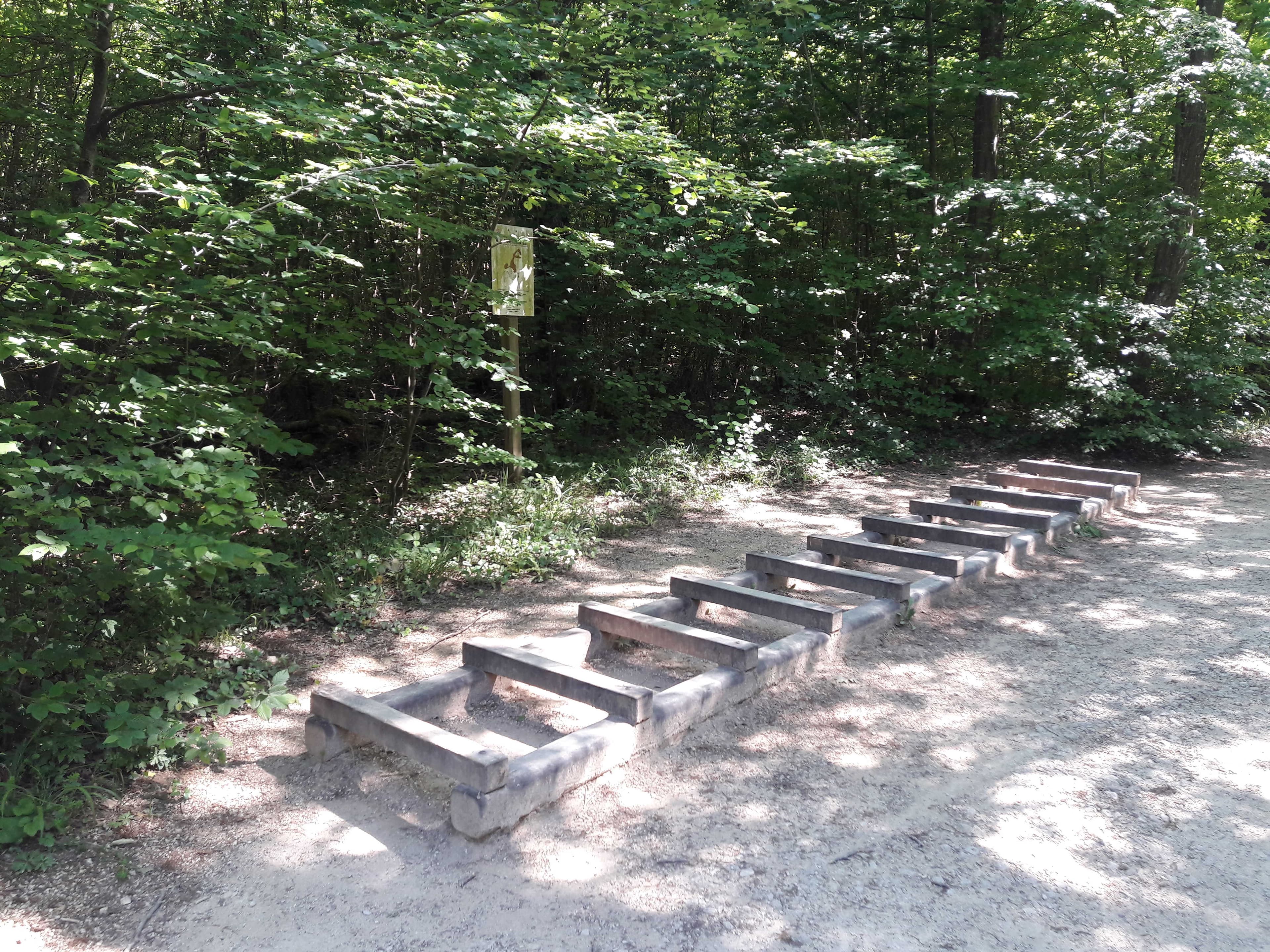 Fitness Station – Foulées bondissantes
