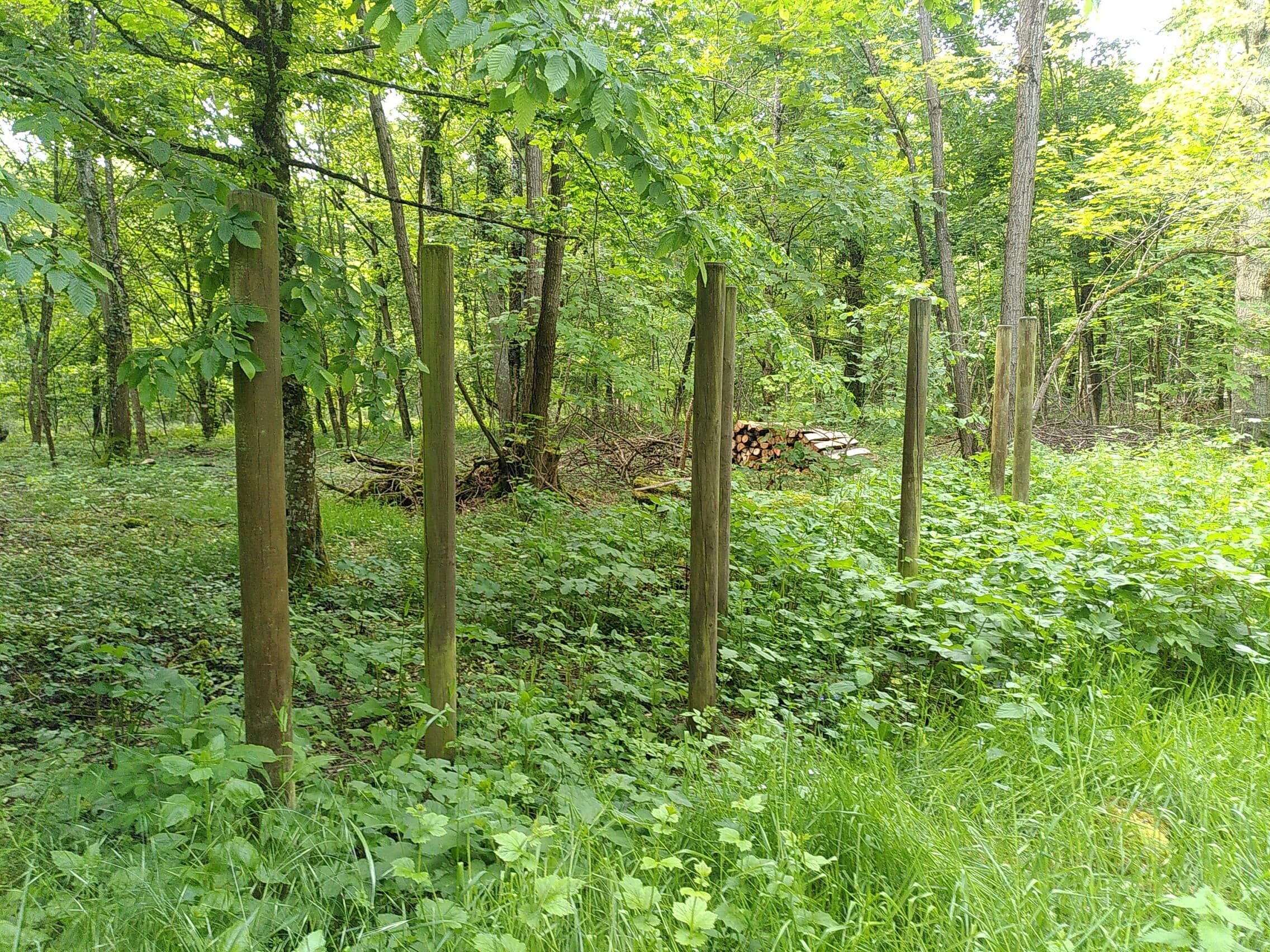 Fitness Station – Slalom