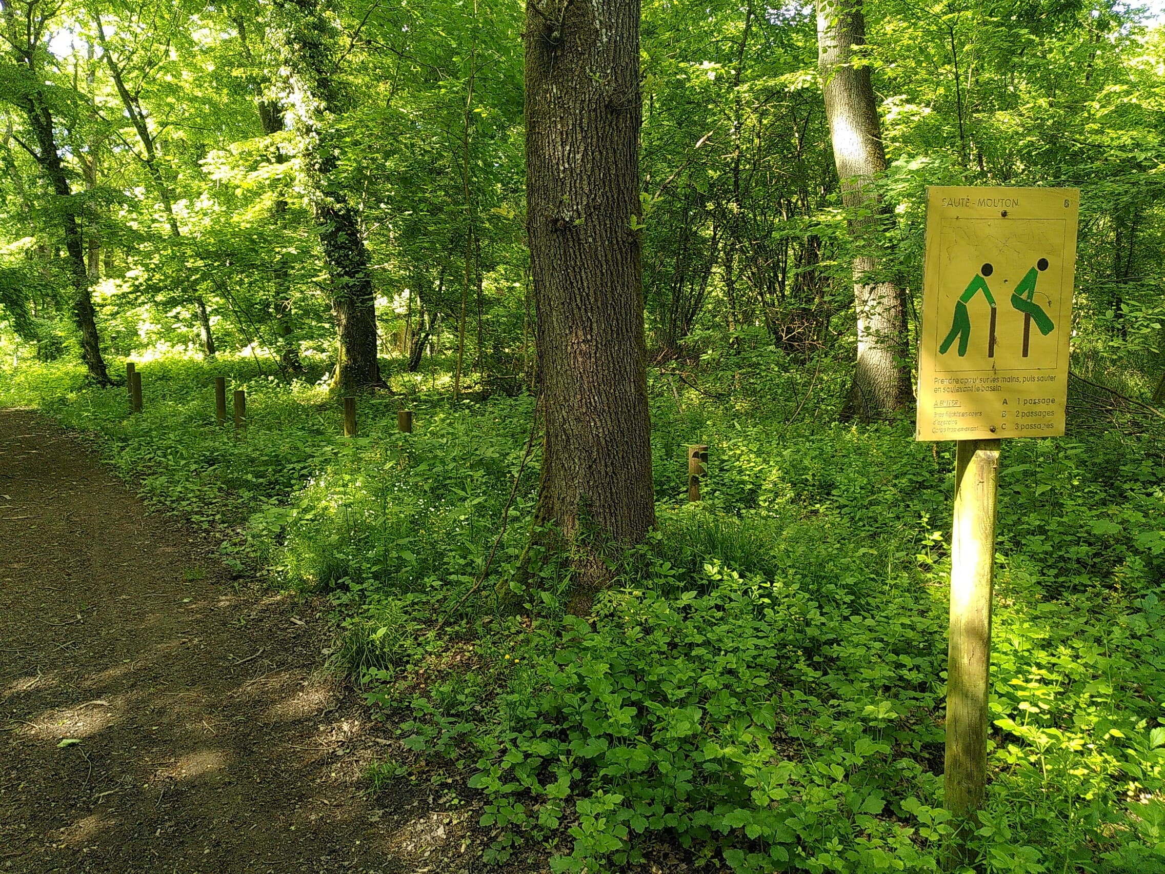 Fitness Station – Saute-Mouton