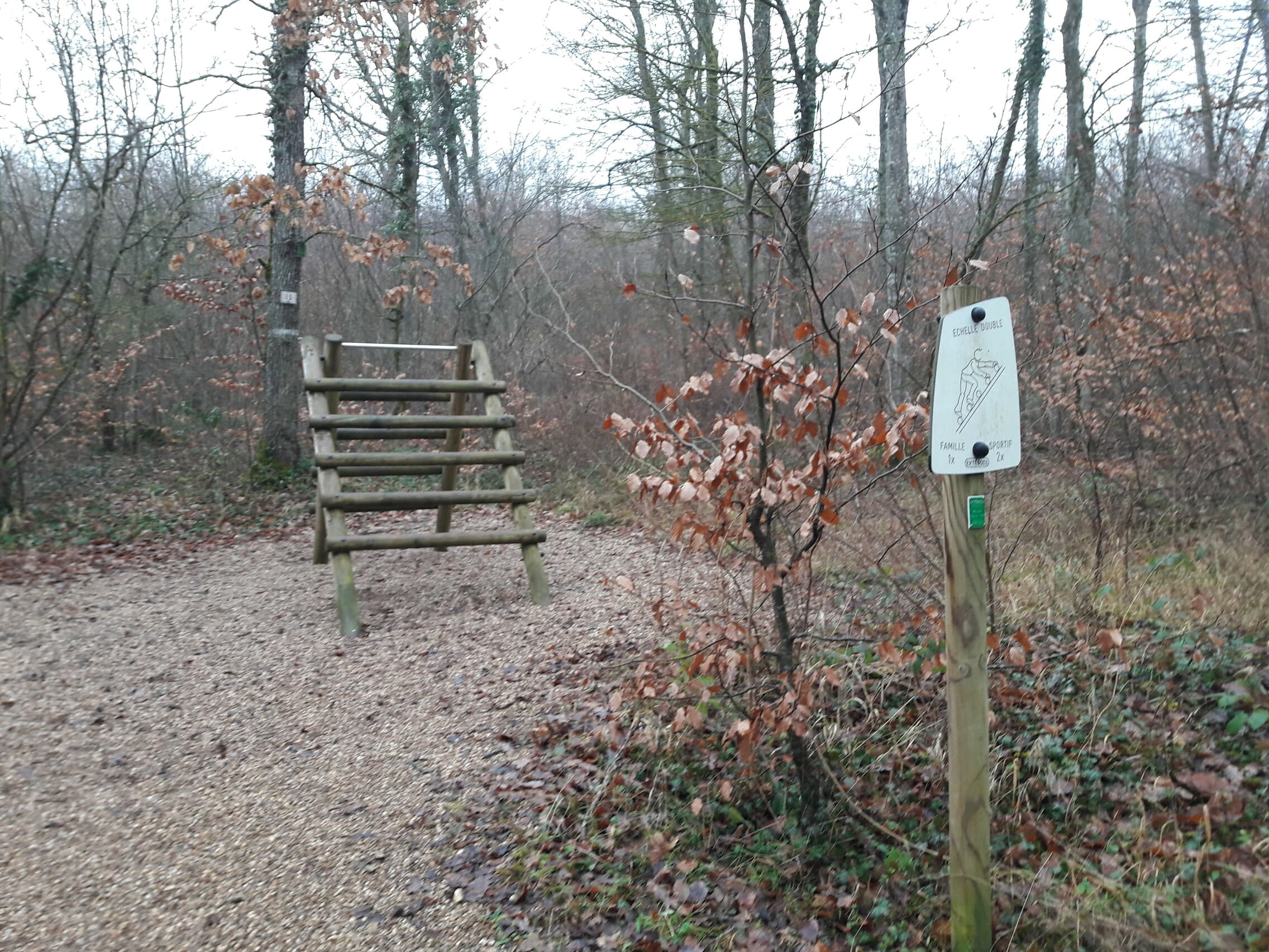 Fitness Station – Échelle Double