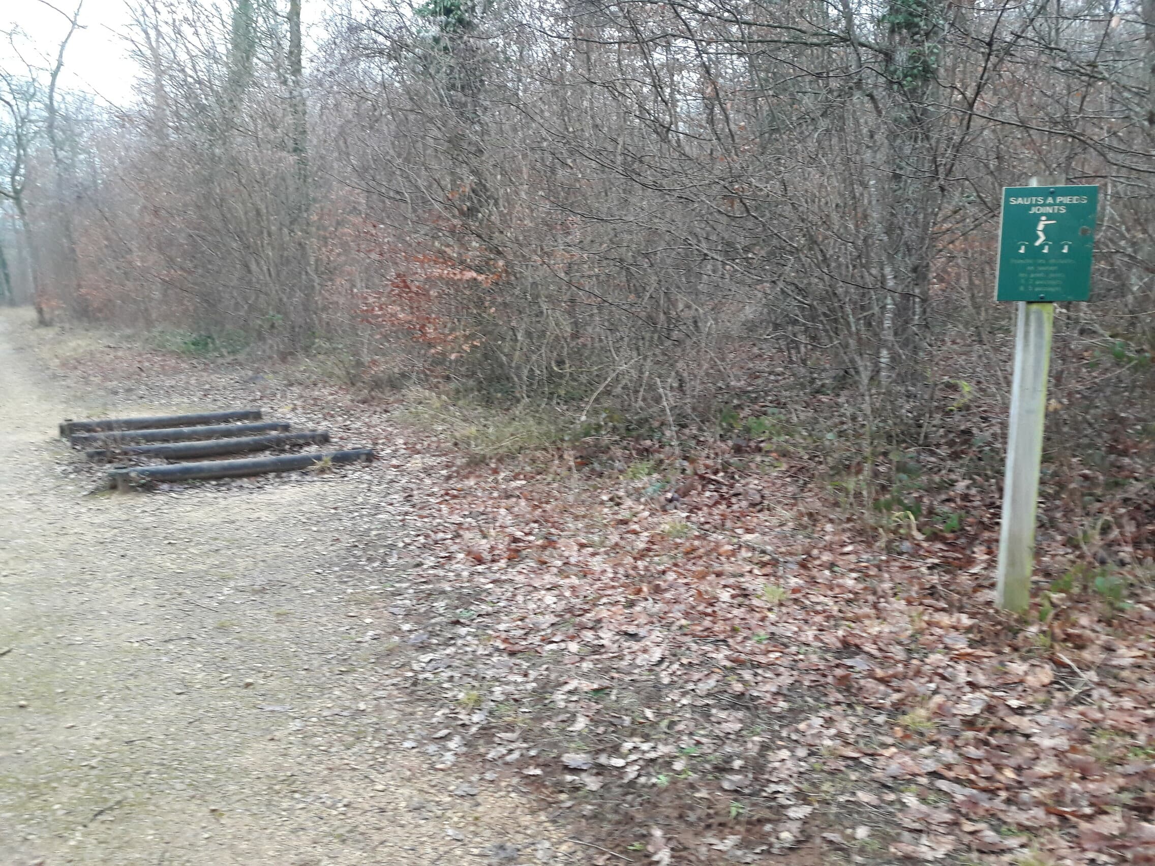 Fitness Station – Sauts à Pieds Joints