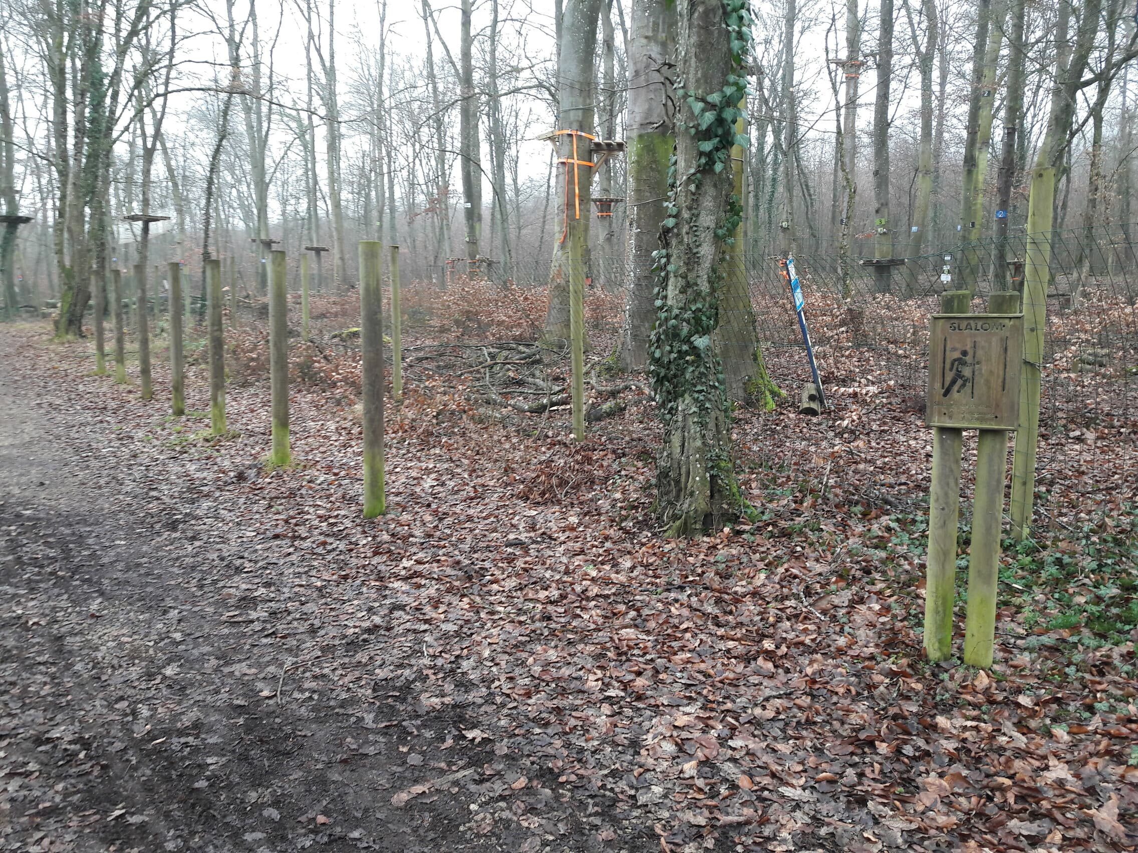 Fitness Station – Slalom