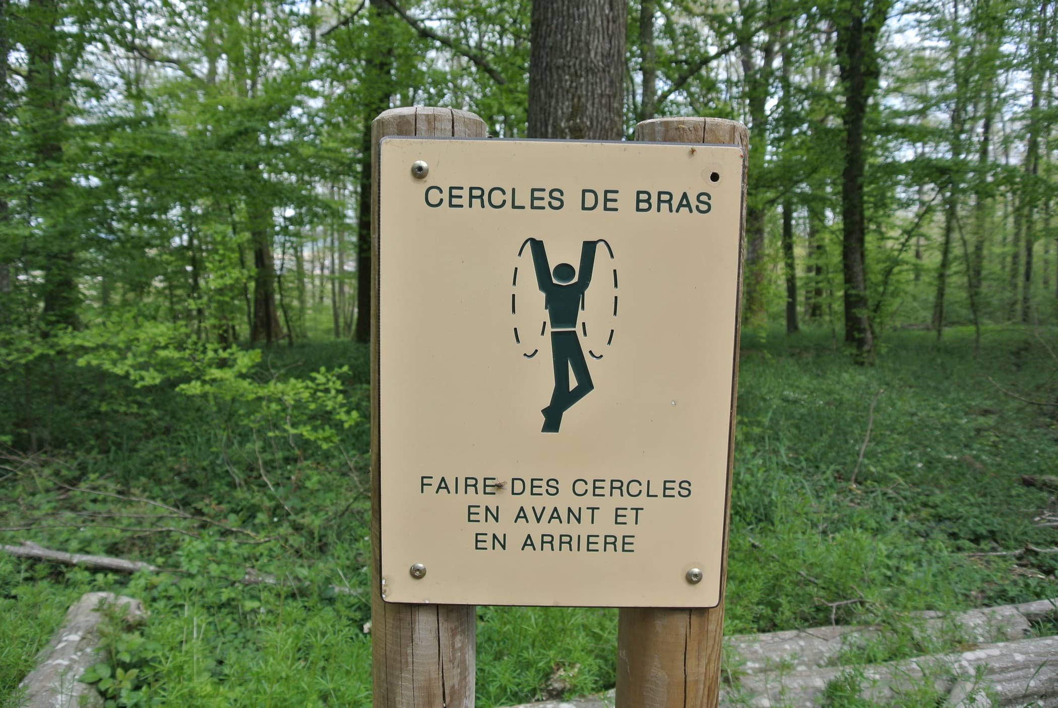 Fitness Station – Cercles de bras