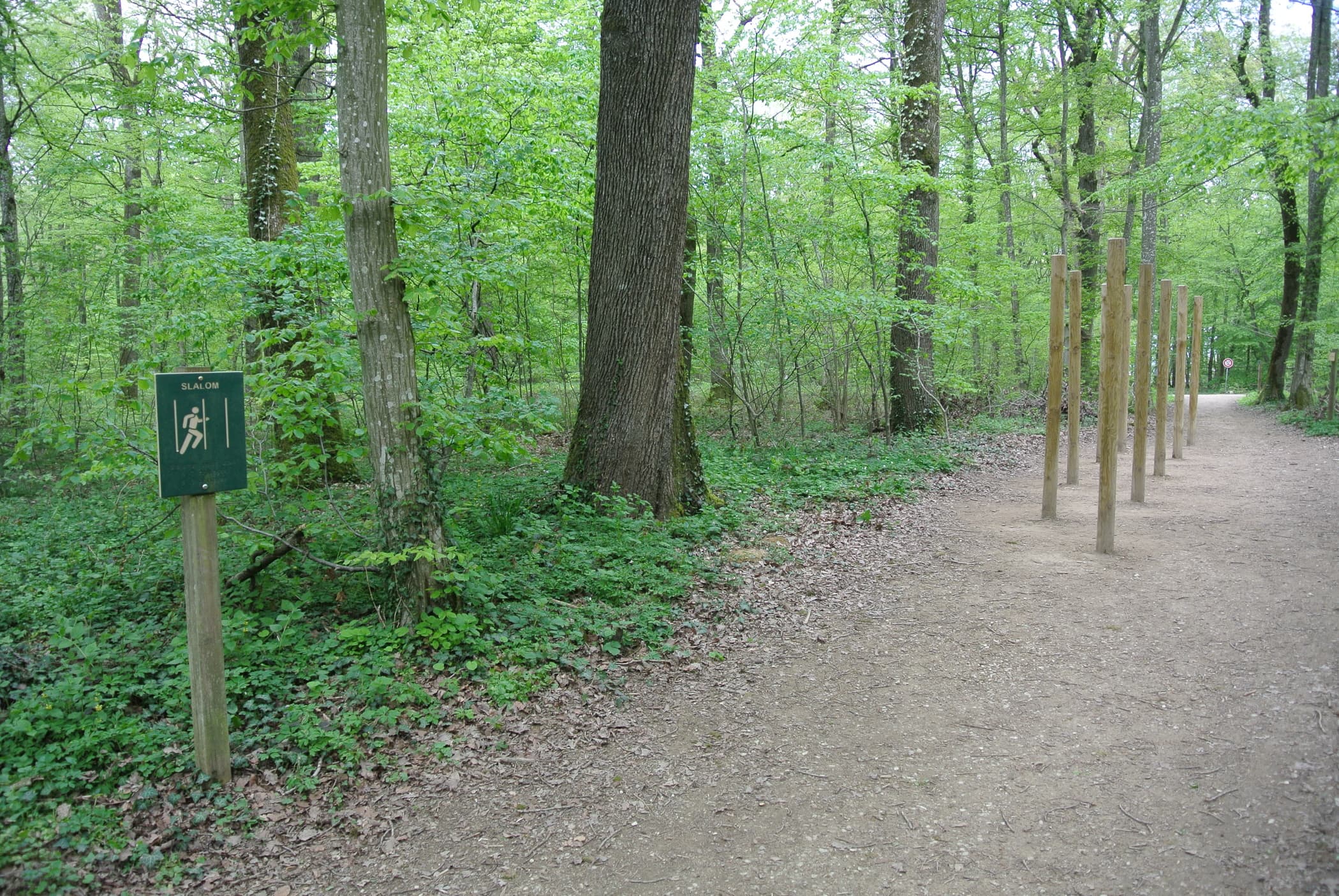 Fitness Station in Cerville