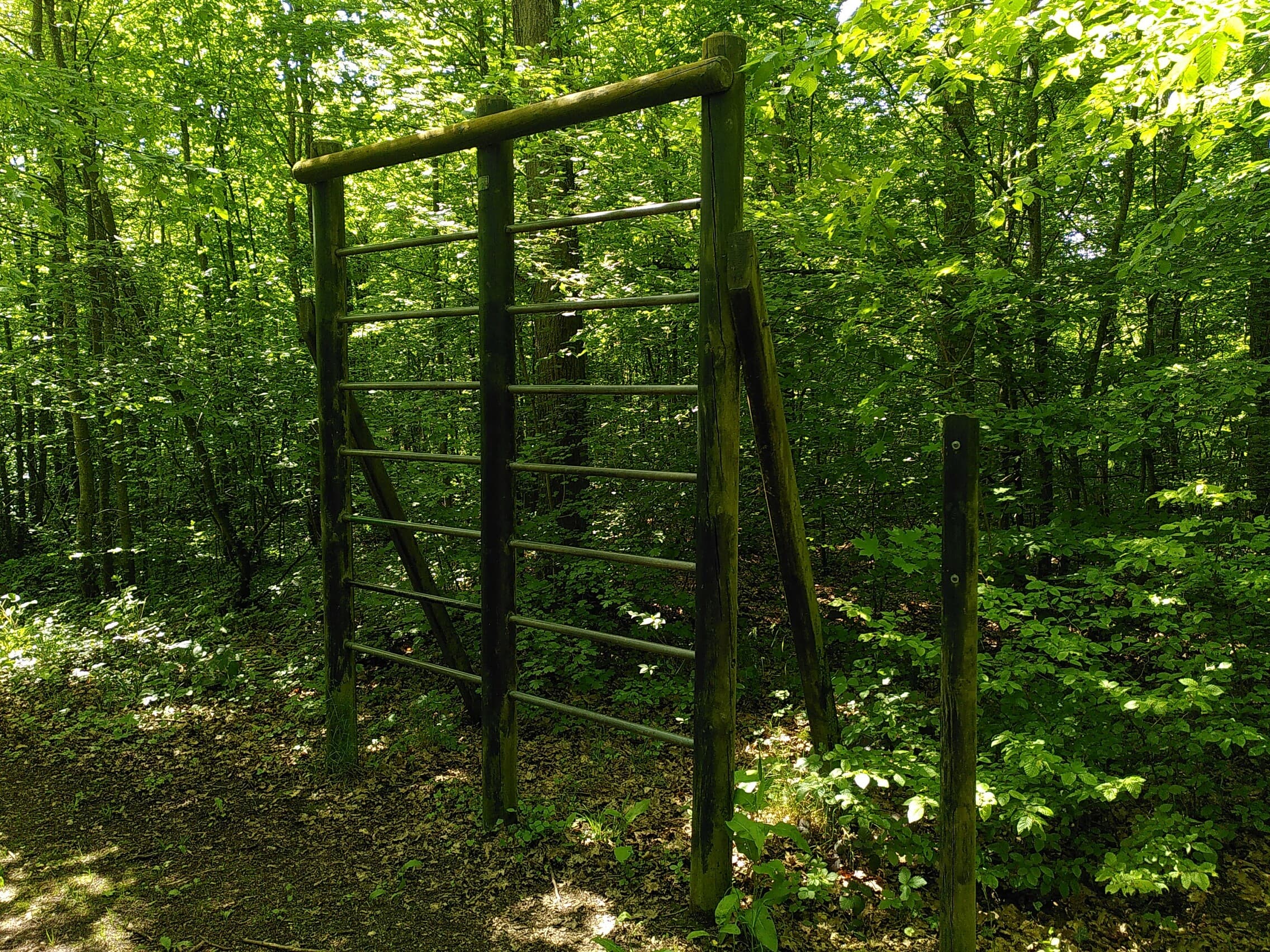 Fitness Station – Espalier