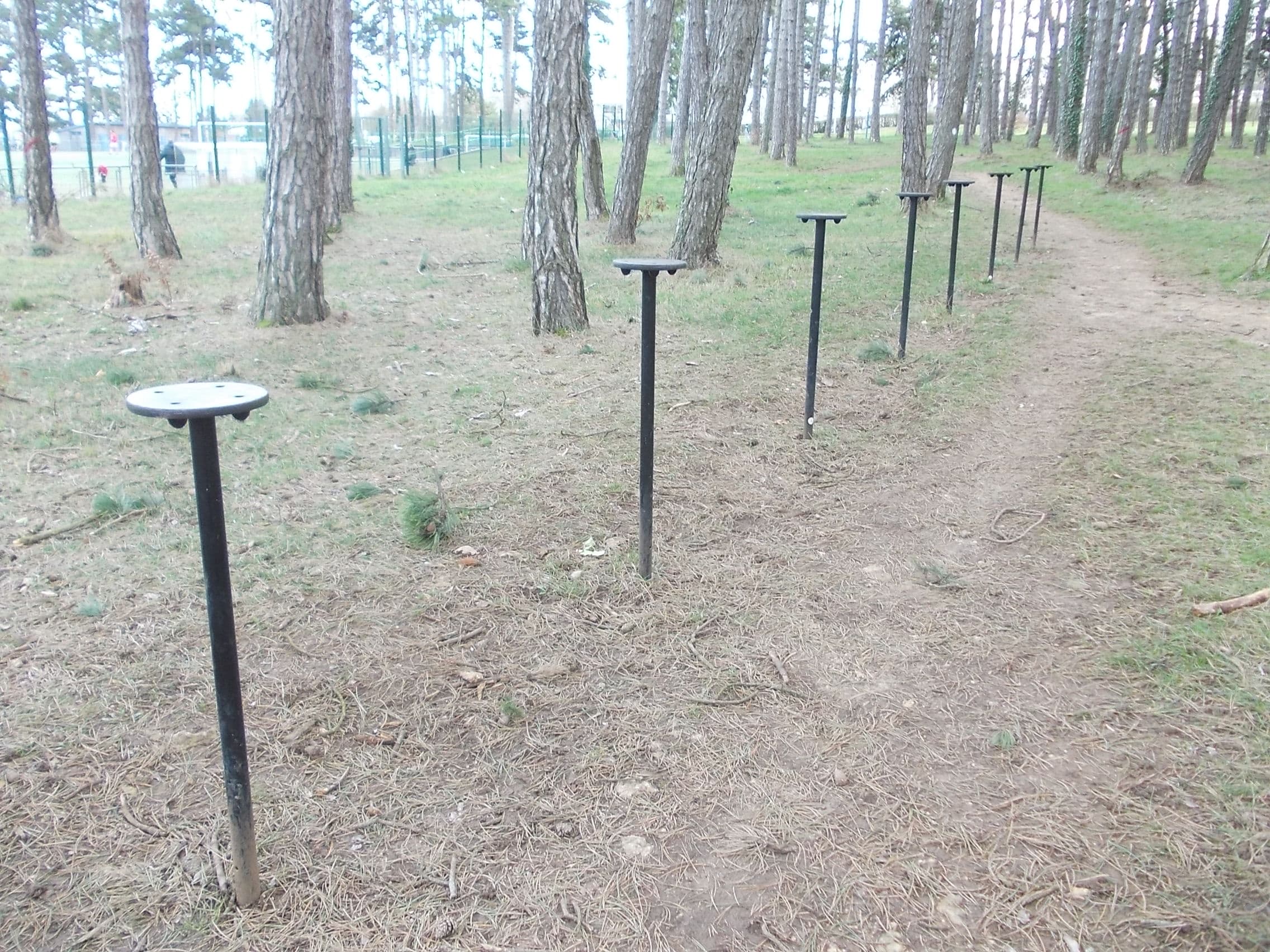 Fitness Station – Steps