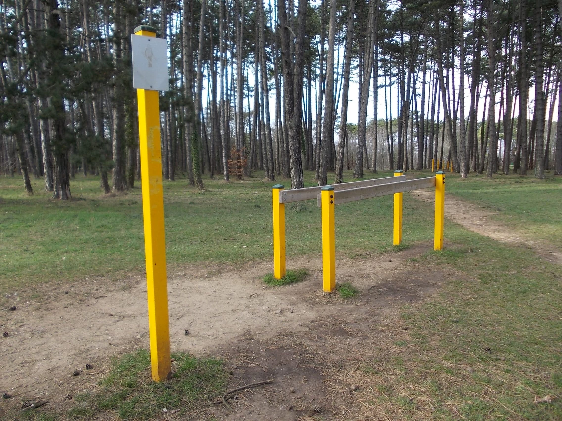 Street Workout Spot – Barres parallèles