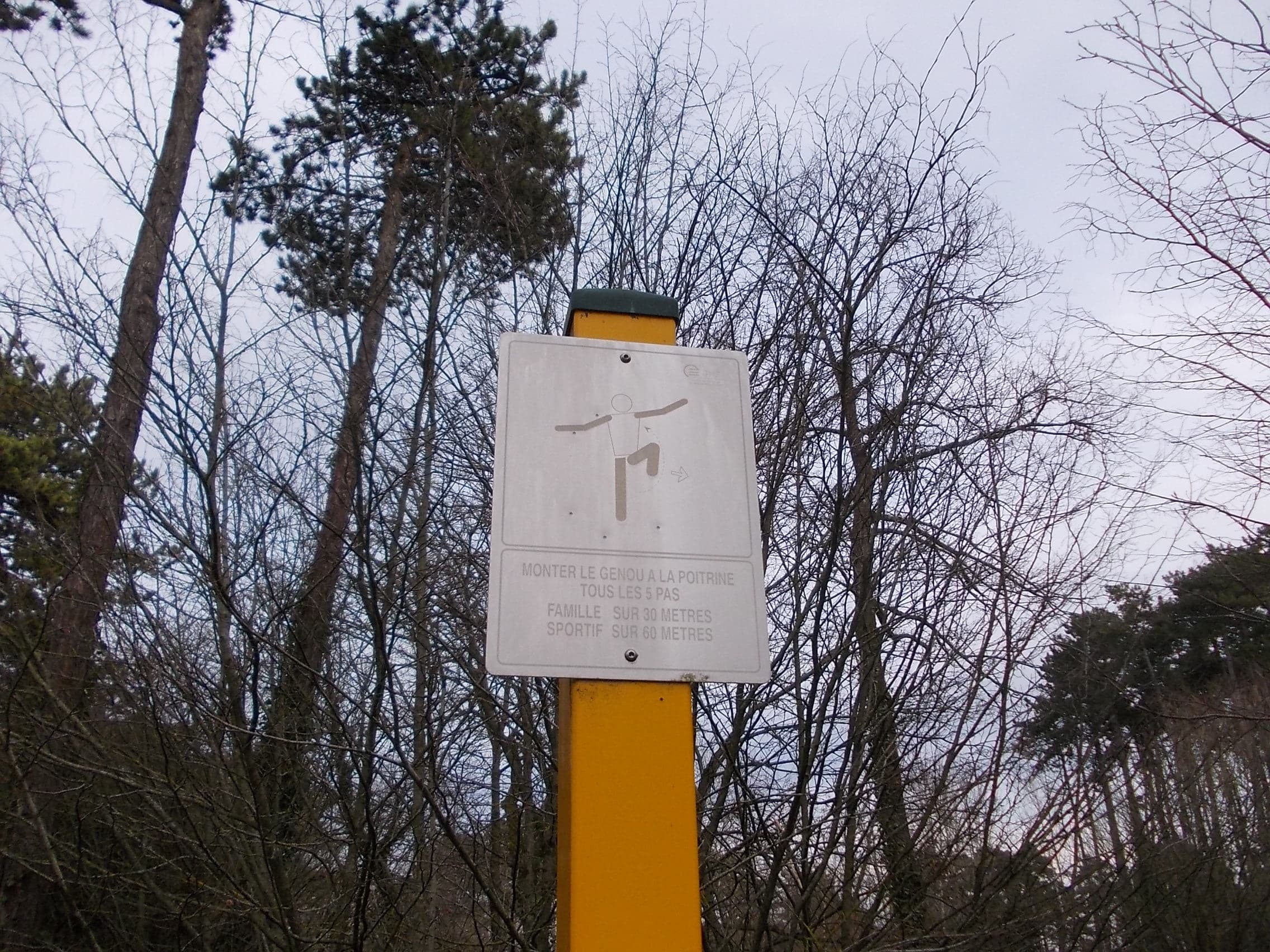 Fitness Station – Montée de genoux