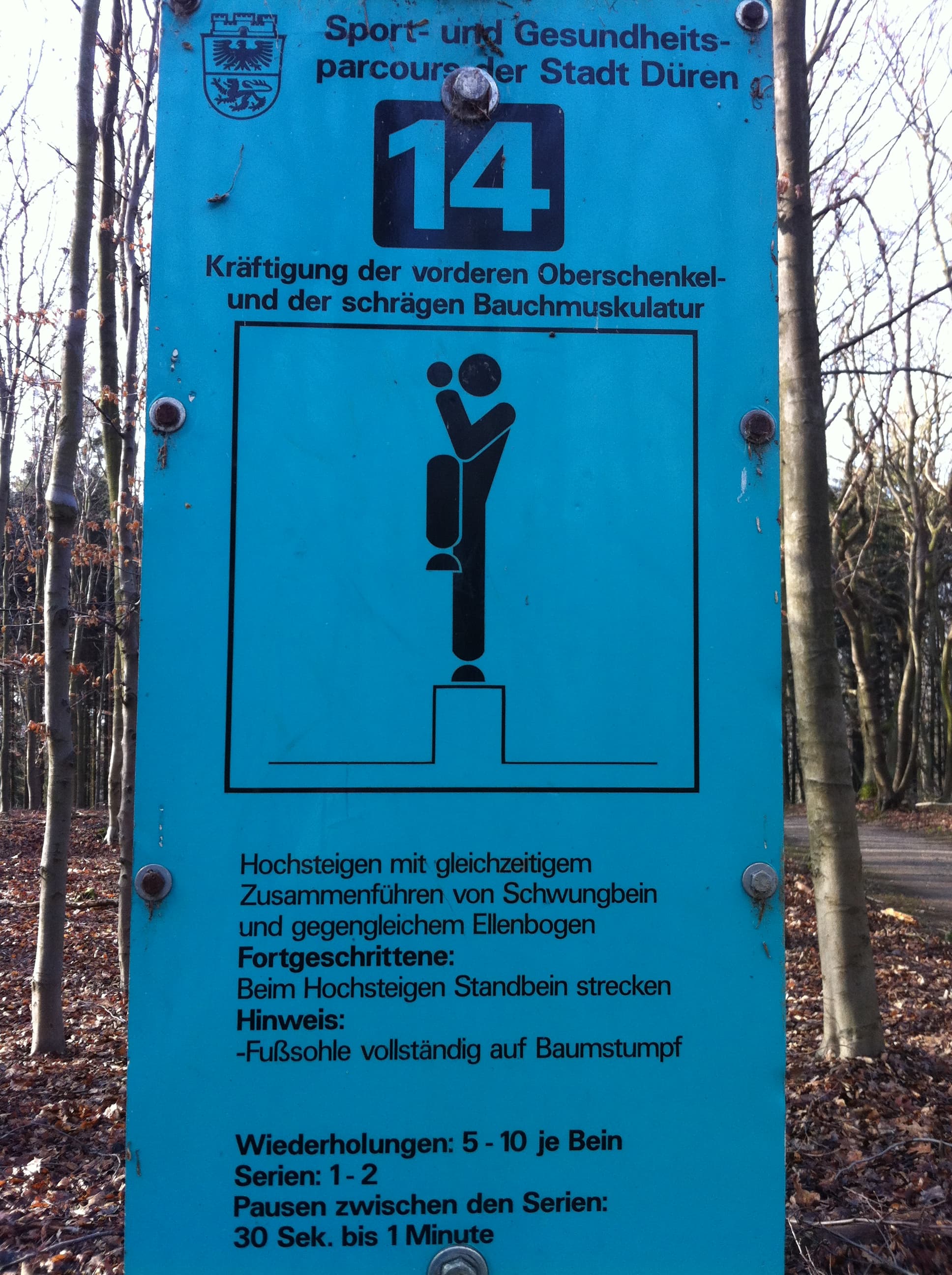 Fitness Station in Lichtung Marieneiche