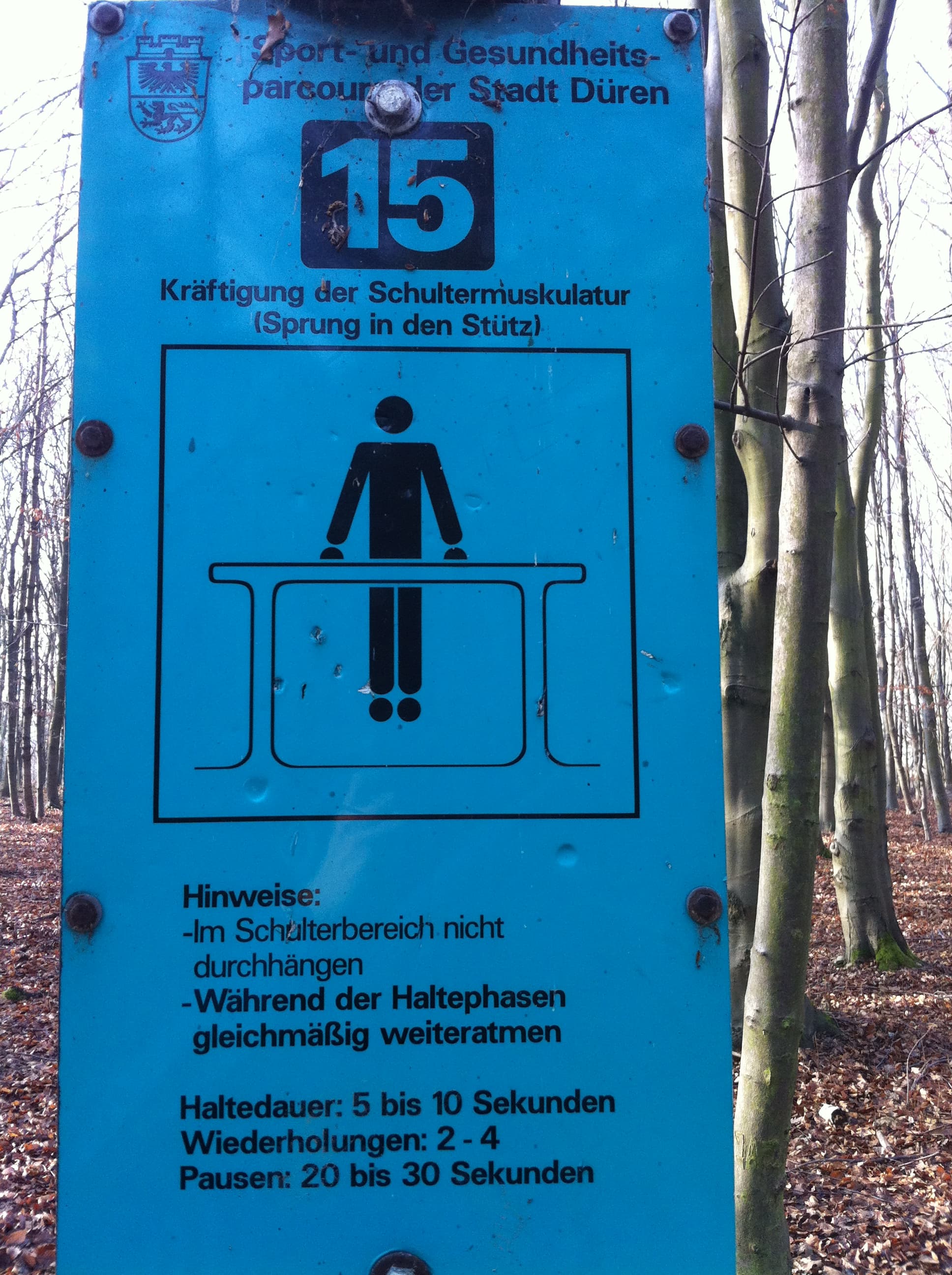 Fitness Station in Lichtung Marieneiche