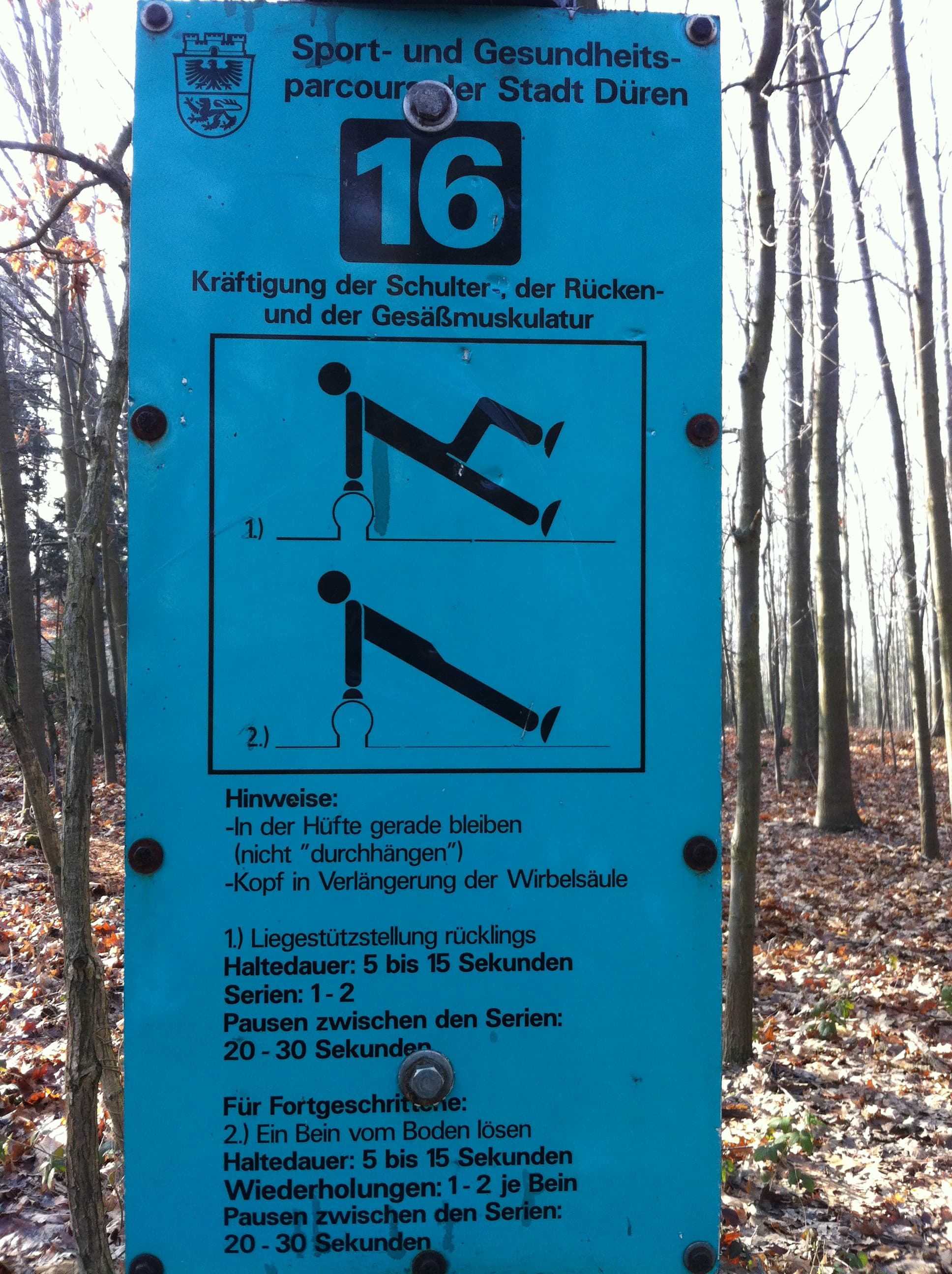 Fitness Station in Lichtung Marieneiche