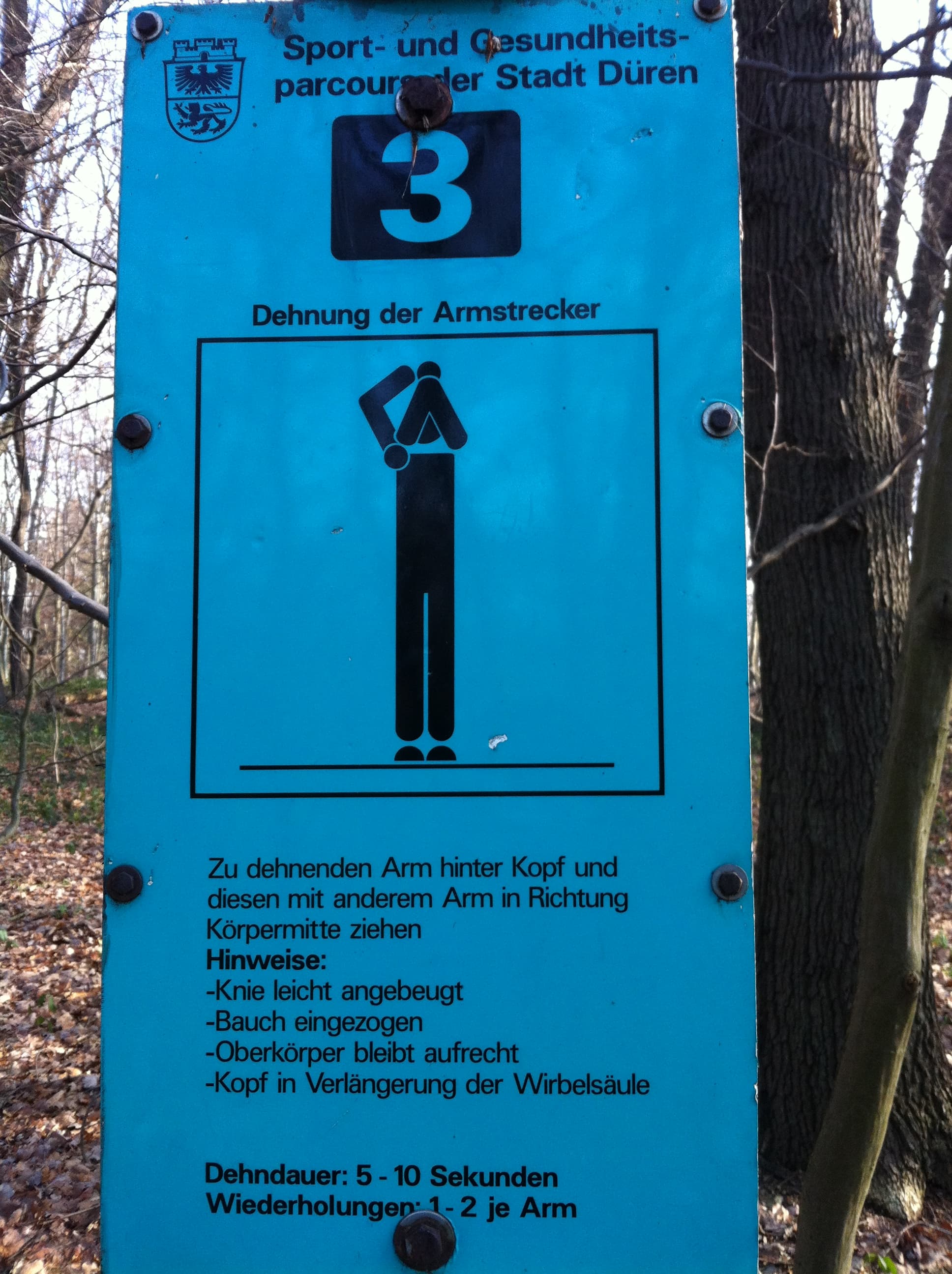 Fitness Station in Lichtung Marieneiche